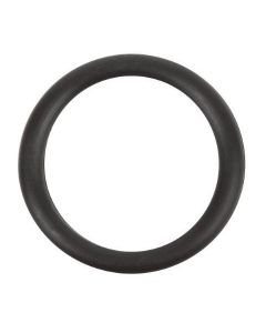 Restek Liner Nut O-Ring For Lucidity Minigcs, 5-Pk.